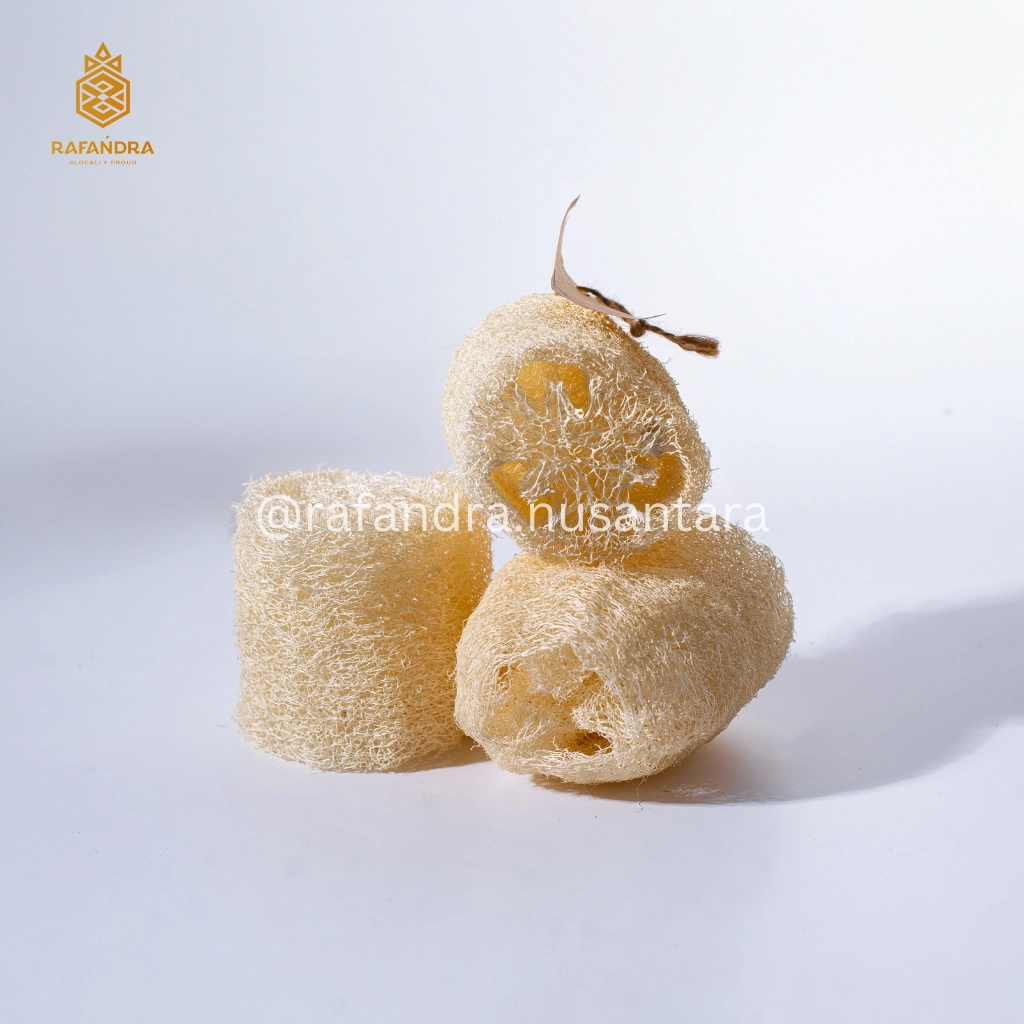 Rafandra Loofah 8-10 cm (PM-LF6)