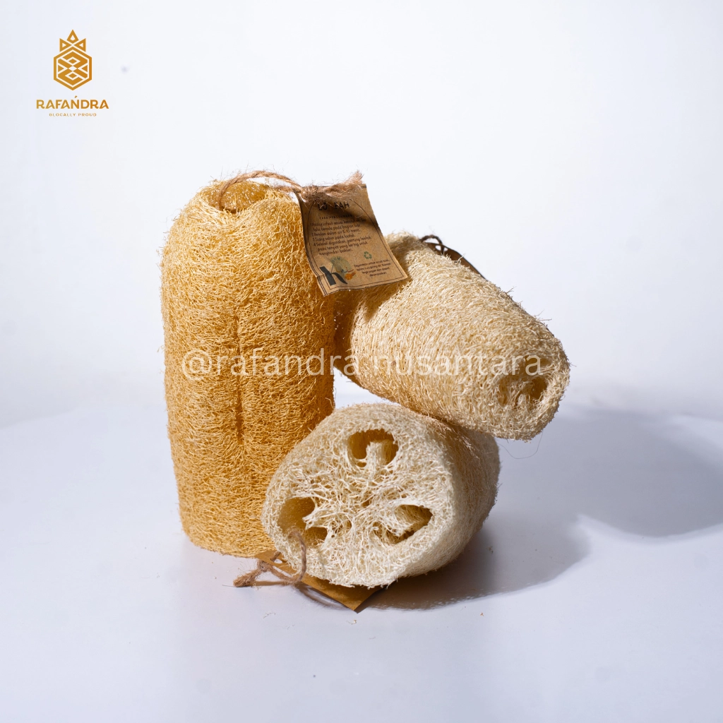 Rafandra Loofah 16-19 cm (PM-LF3)