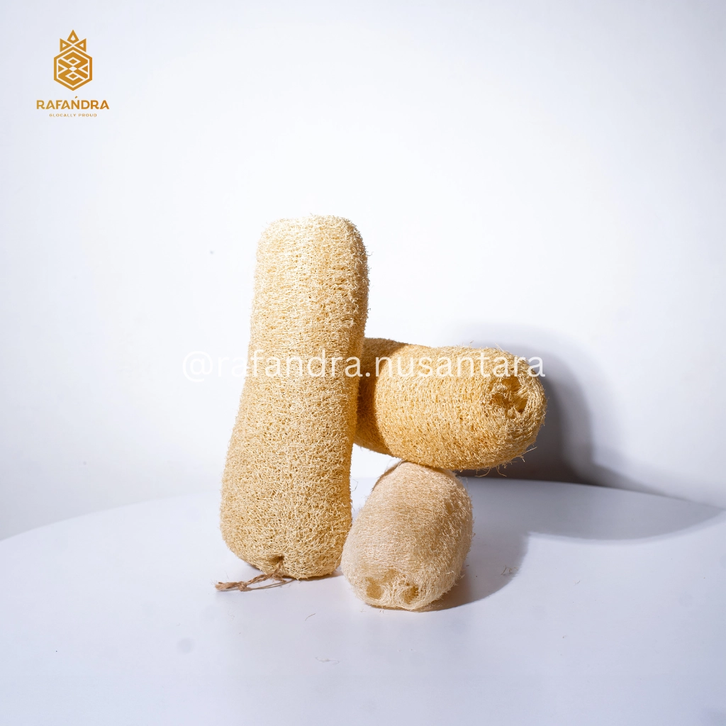 Rafandra Loofah 20-25 cm (PM-LF4)