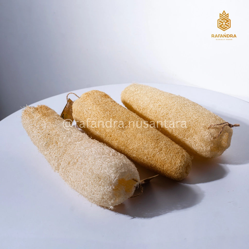 Rafandra Loofah 25 cm++ (PM-LF5)