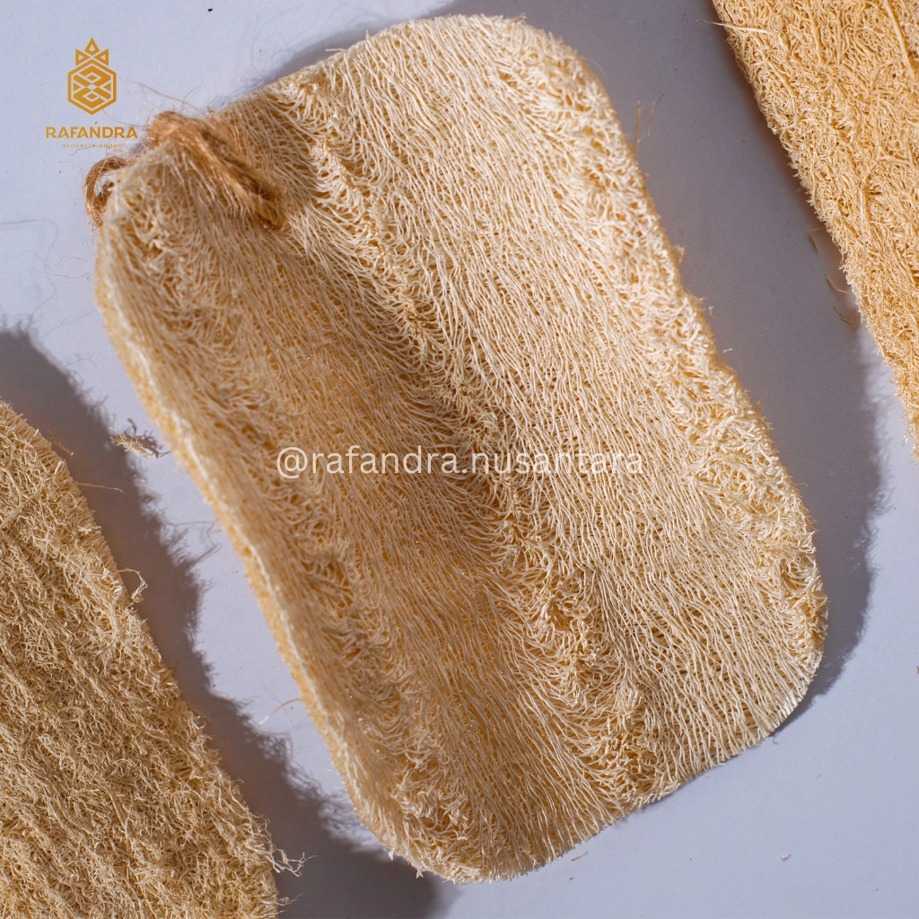Rafandra Large Loofah Pad Gambas (PM-LF9)