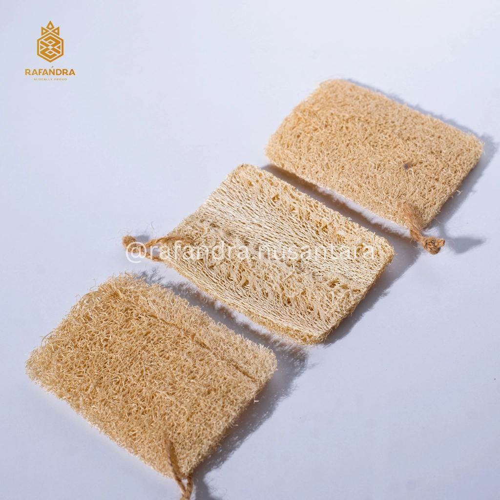 Rafandra Loofah Pad Box 2 Layers (PM-LF11)