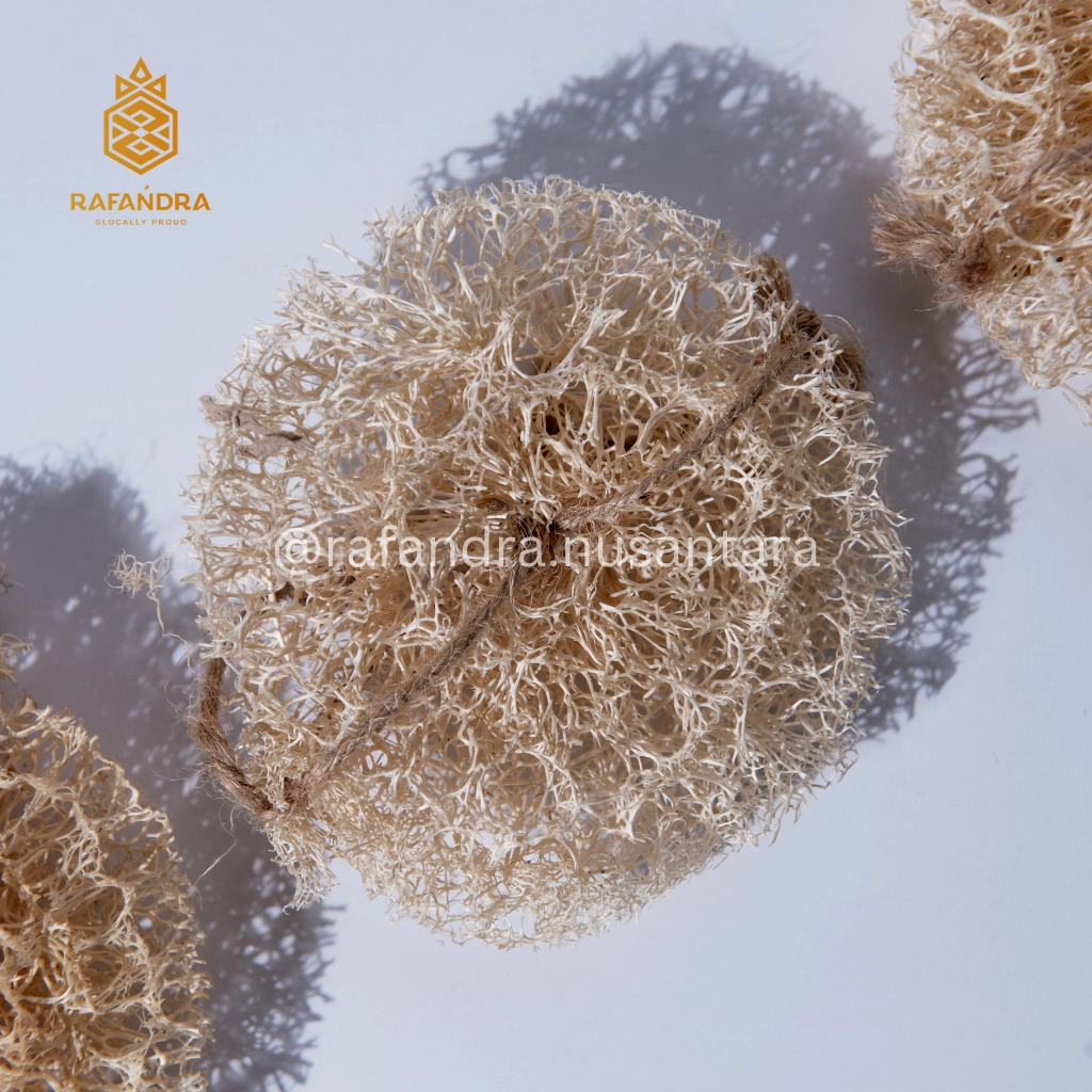 Rafandra Round Large Loofah Donuts (BR-LF1)